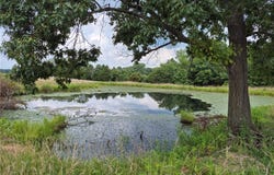 0 S Mill Creek Rd. (17+/- Acres), New Florence, MO 63363