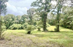 4599 Brushy Creek Rd, Range, AL 36473