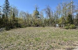 10999 KOEPKE ROAD, LEVERING, MI 49755