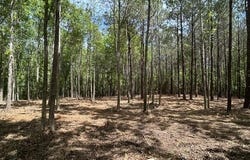 Parcel 3 Stovall Lane, Summit, MS 39666