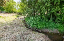 3835 EDISON Rd NE, Silverton, OR 97381