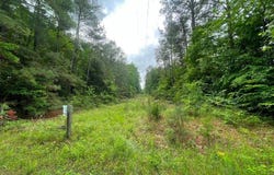 00 Mahixon Road, King William, VA 23106