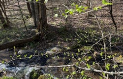 Clearview, Murphy, NC 28906
