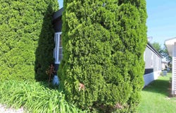 52 Cotts Dr, No. Sioux City, SD 57049