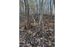 6838 Flats Rd, Tallassee, TN 37878