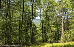 2 Red Rock Road, Wawarsing, NY 12489