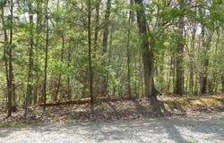 Dallas Lane, Blue Ridge, GA 30513