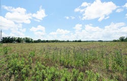 Jack Stokes Road, Baker, FL 32531