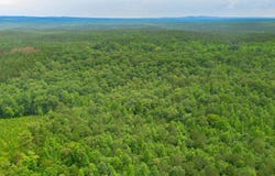 VINEYARD ROAD lot: 1, 2, 4, 5, 6, FRUITHURST, AL 36262