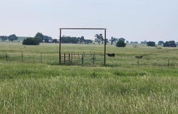 425862 E 290 Road, Chelsea, OK 74016