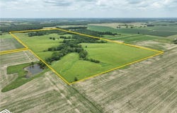 Olive, Fairfield, IA 52556