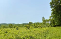 0 Como Road, Lake Como, PA 18439