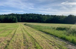 8 Sydney Road, Hannibal, MO 63401