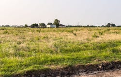 ELM BRANCH lot: 18, Elm Mott, TX 76640