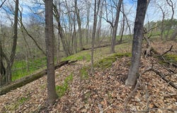 Xxx Niles Lane, Centuria, WI 54824