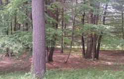 0  Longhorn Road, Huntingdon, PA 16652