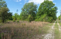 Vacant NE Cedar Trail, Pinetta, FL 32350