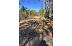 Mims Lane, Georgetown, SC 29440