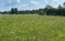 #18 Statham Rd, Liberty, KY 42539