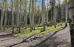 571 Crest Drive, Cimarron, CO 81220