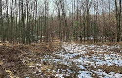 9357 W Circle Drive, Stanwood, MI 49346