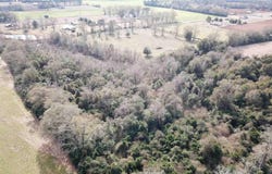 Beck Ave lot: 4, Jay, FL 32565