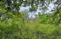 143 Briarwood Trail, Nocona, TX 76255