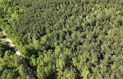 Cambridge Rd., Marion, SC 29571