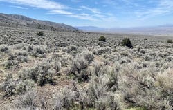 25200 Ramsey Road unit: 37, Lovelock, NV 89419