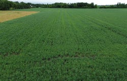 255th  Street, Renner, SD 57055
