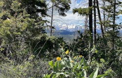 Tbd Nwne DEER HAVEN Road, Bondurant, WY 82922