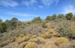 111 Hwy 77, Globe, AZ 85501