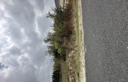 226 Roy Nichols, Blanco, TX 78606