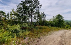 Lot 4 Paul Manor Road, Hebron, ME 04238