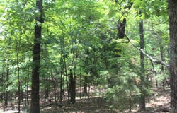 Lot 51 OAK RIDGE DRIVE, Theodosia, MO 65761