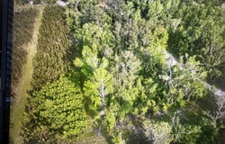 NE Rue Drive, Pinetta, FL 32350