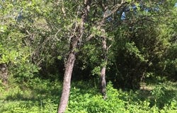 8513 Retreat Boulevard, Cleburne, TX 76033