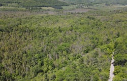 Keating Road, Fly Creek, NY 13337