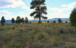 00 1796, Chama, NM 87520