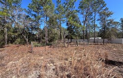NE 3RD PLACE, WILLISTON, FL 32696