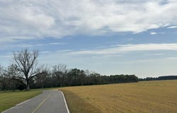 Vinson Ray Road, Baker, FL 32531