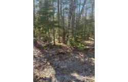 Route 1, Gouldsboro, ME 04607