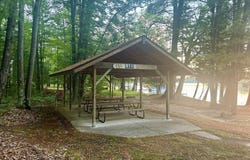 V/L Ess Lake Drive lot: 213, Hillman, MI 49746