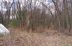 L17.12 Helderberg Avenue, Rotterdam, NY 12306