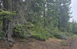 4 Royce Pine RD, Crescent Lake, OR 97733