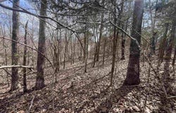 000 Boanna Drive, Cherokee Village, MO 72529