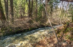 491 E Branch Rd, Weaverville, CA 96093