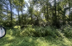 Lot 25 Rock Springs Road, Celina, TN 38551