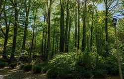 3826 Carriage Gate Drive, Duluth, GA 30096
