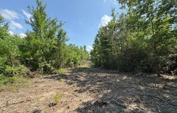 TBD County Road 4855, Timpson, TX 75975